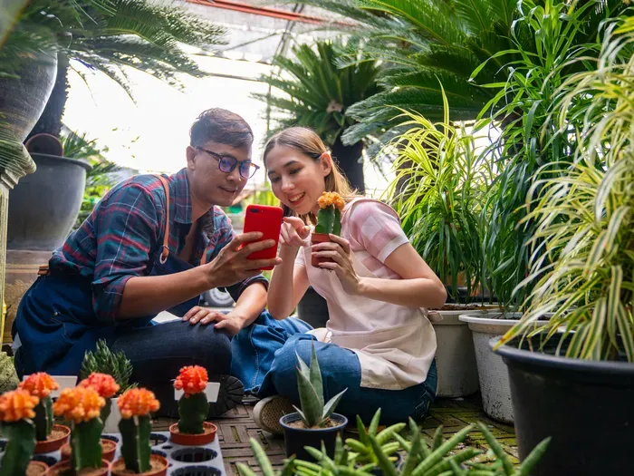 Two plant nursery owners sit among potted succulents and palms, using a smartphone to check details about a flowering cactus